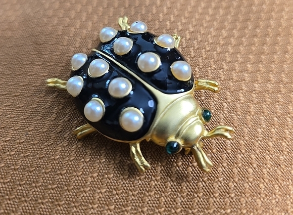 Ladybug Brooch - Picture 1 of 4